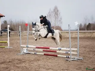 hästar Hoppglad tjej med egen motor i Hova - Annons 18