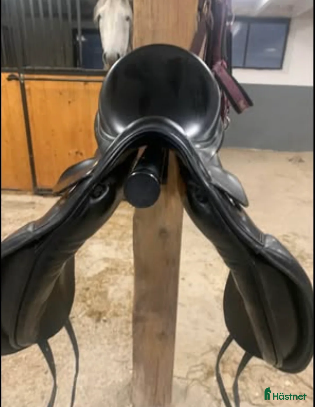 Sadlar hästutrustning till salu: Prestige Hippos i Kungsör - Annons 3
