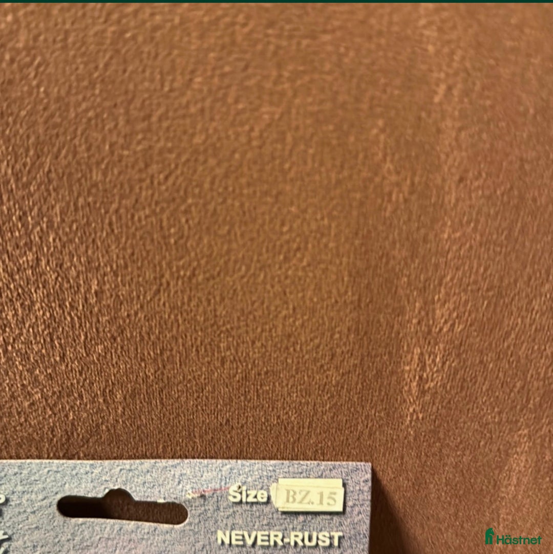 Övrig Ryttarutrustning ryttarutrustning till salu: Nya sporrar från Globus 15 mm i Torsåker - Annons 3