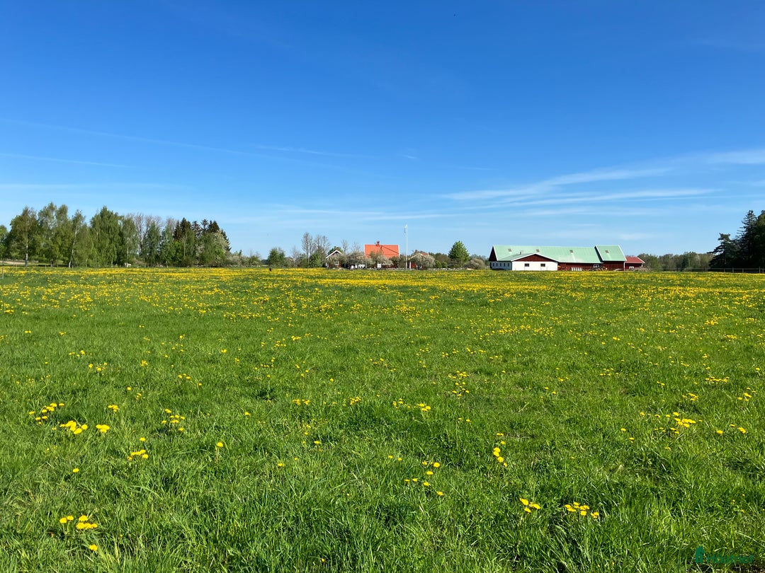  stallplats finnes: Stallplats i Mantorp - Annons 4