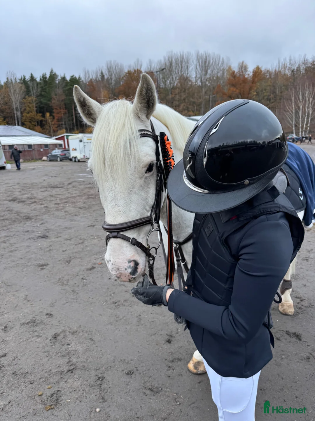Hoppning hästar till salu: Ponny med kapacitet och hjärta - Annons 2