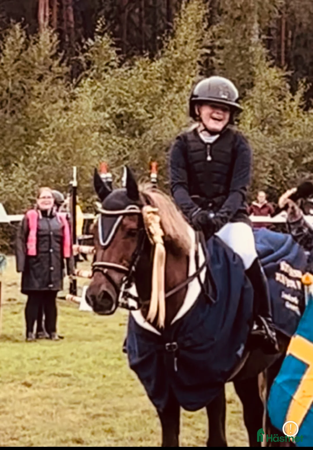 Hoppning hästar till salu: One in A million ponny🌟 i Färjestaden - Annons 5