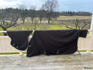 Täcken hästutrustning Fint Amigo 400 gr - Annons 6