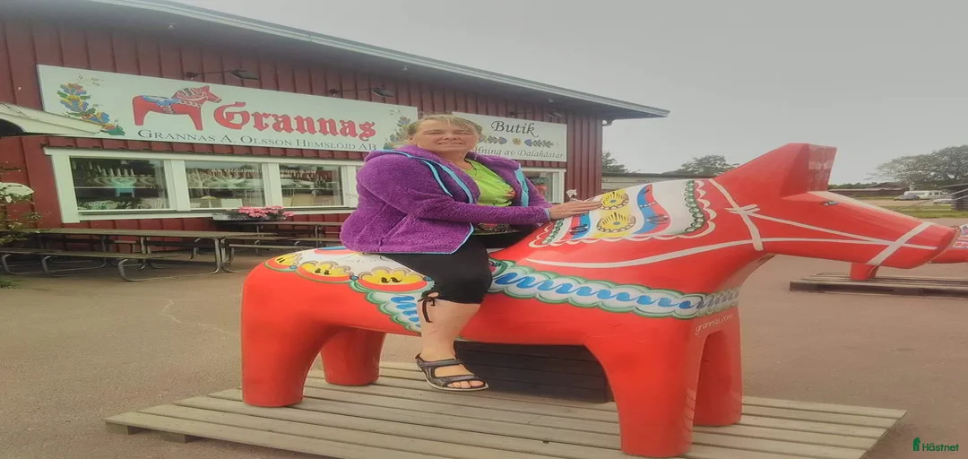 Galleribild {{count}}