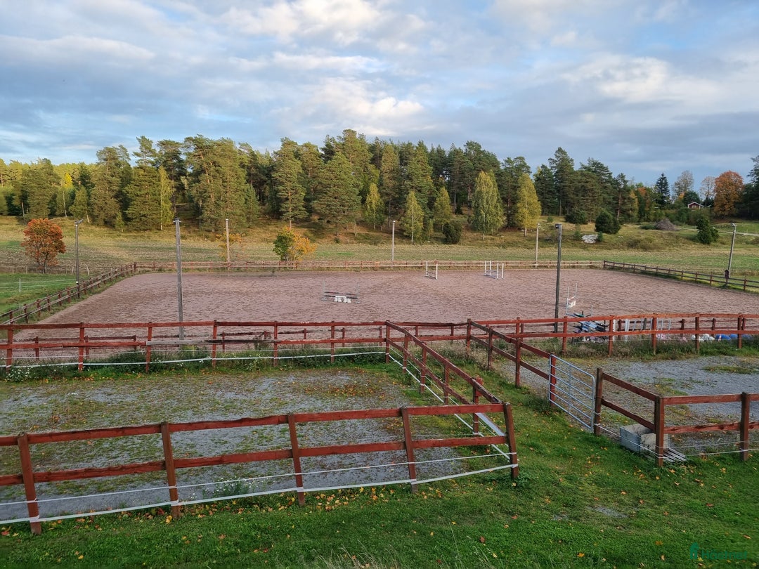  stallplats finnes: Stallplatser på Berga gård, 4km utanför Nyköping. i Nyköping - Annons 10