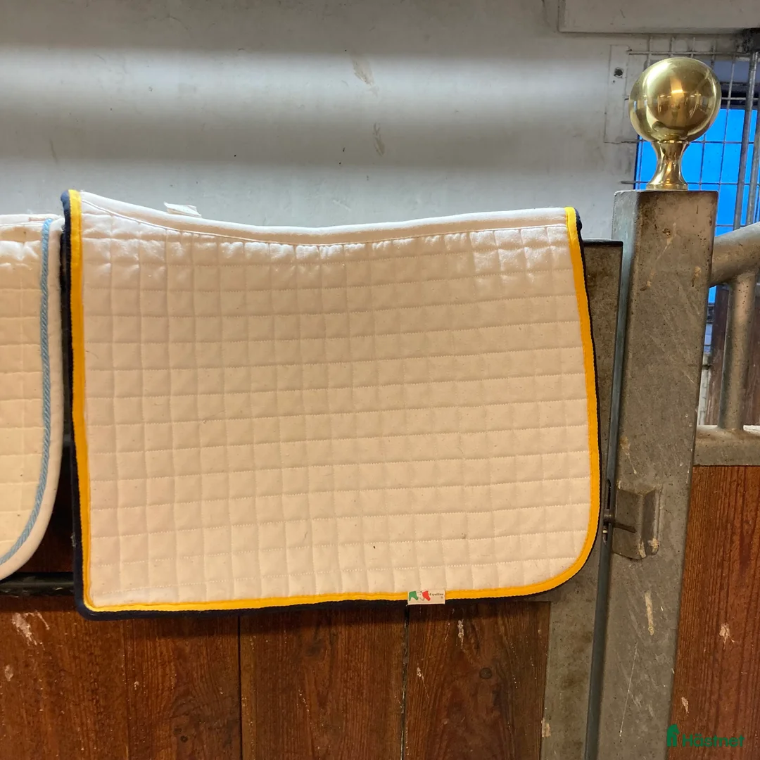 Sadlar hästutrustning till salu: Jättefin sadel till den lilla ryttaren  - Annons 12