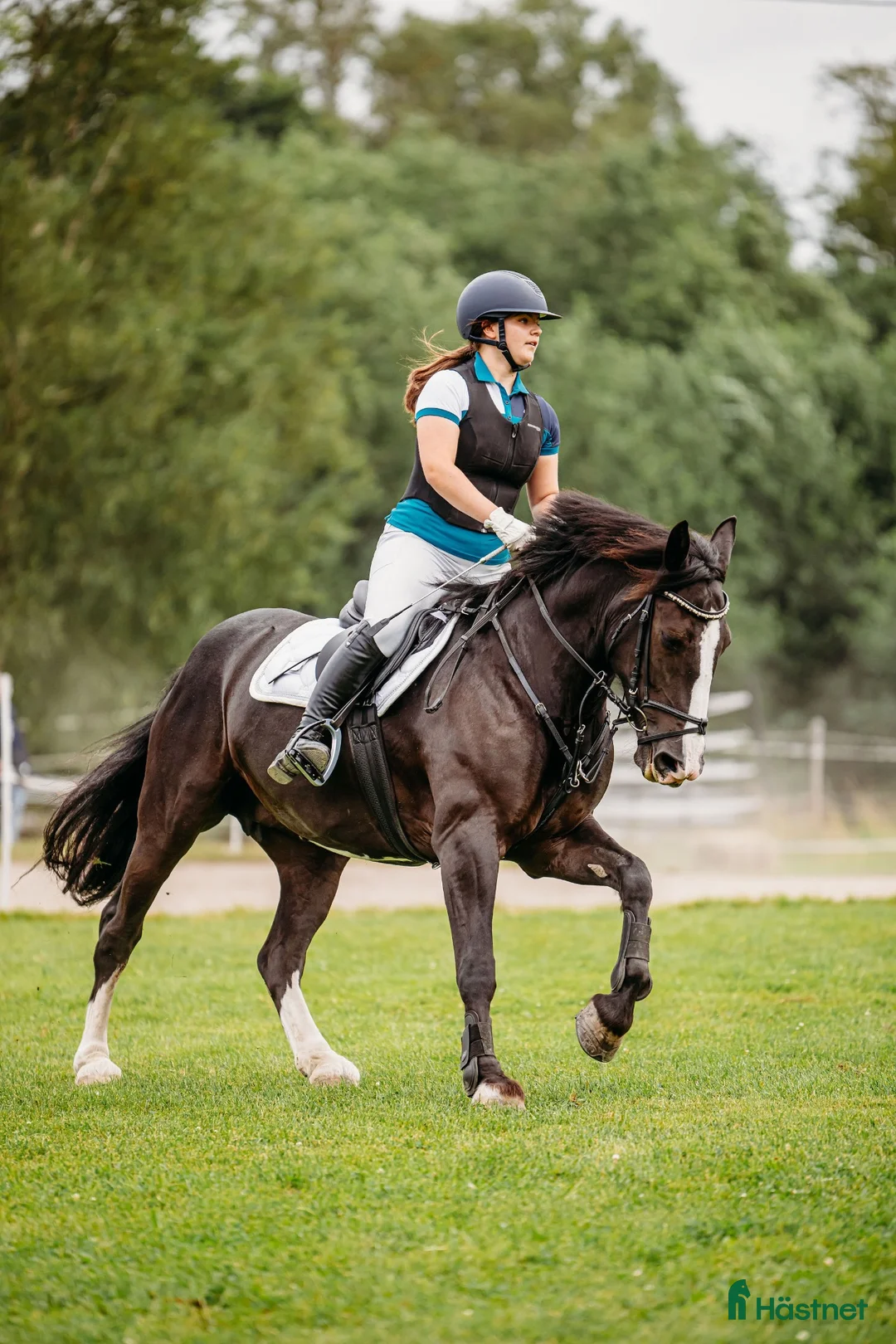 Allround hästar till salu: Irsk sportsponni selges! Allround!  i Mysen - Annons 2