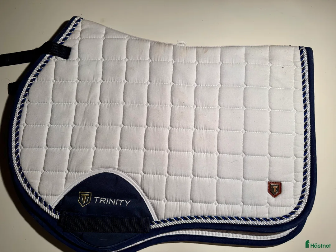 Schabrak & Vojlockar hästutrustning till salu: PS of Sweden schabrak  - Annons 11