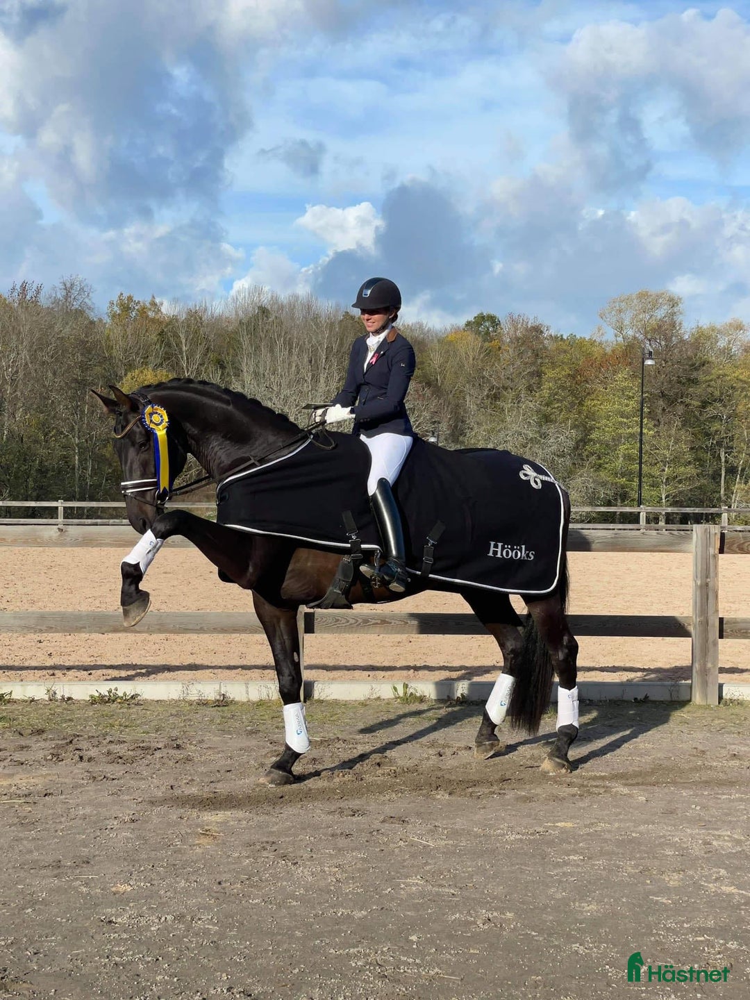 Dressyr hästar till salu: Fantastisk häst för Lilla Rundan/J/YR i Linköping - Annons 4