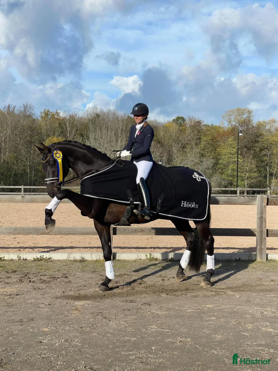 Dressyr hästar till salu: Fantastisk häst för Lilla Rundan/J/YR i Linköping - Annons 4