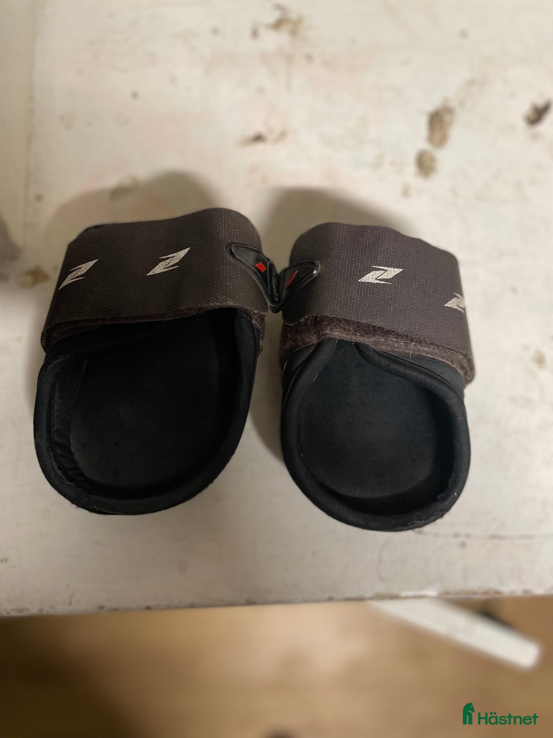 Benskydd hästutrustning till salu: Zandona benskydd  i Rolfstorp - Annons 2