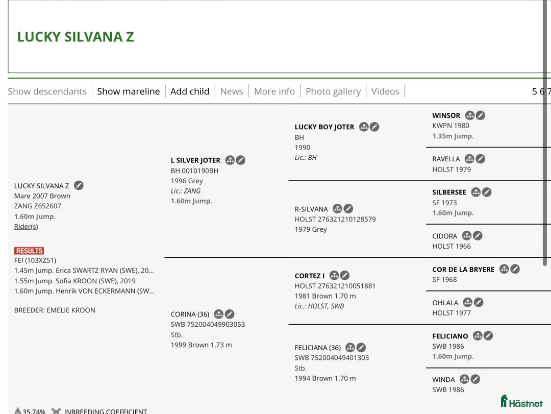 Avelshästar hästar till salu: 5*160 avelssto! - Annons 2