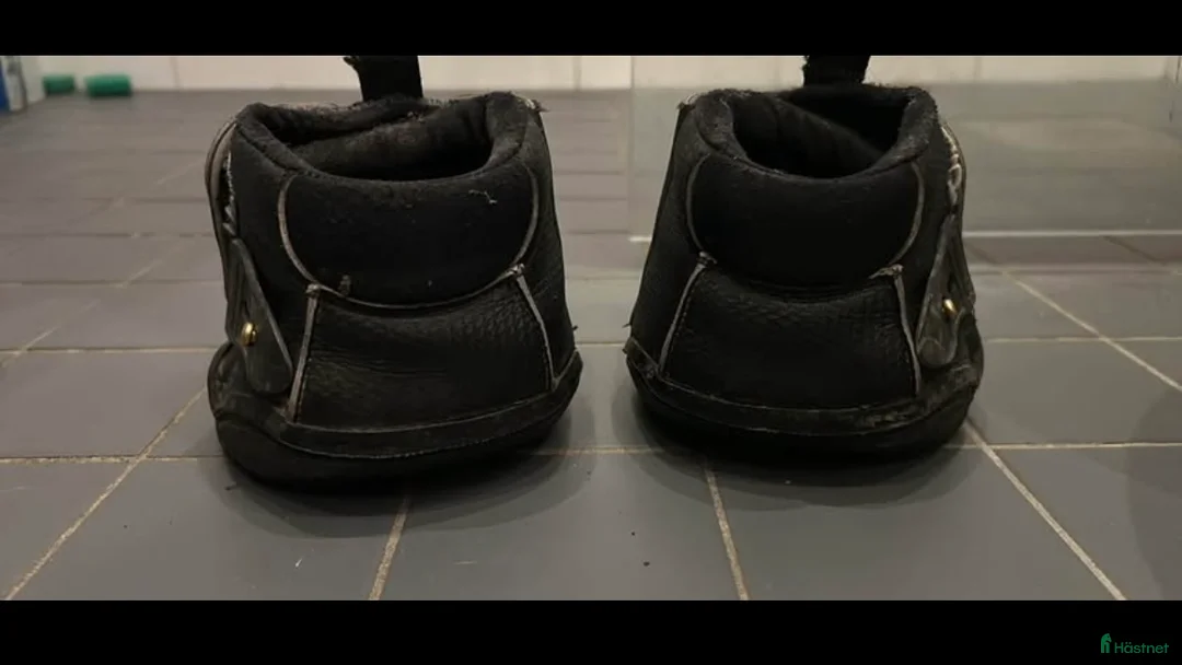 Övrig Hästutrustning hästutrustning till salu: Boots Equine fusion stl 11 i Gustavsberg - Annons 2