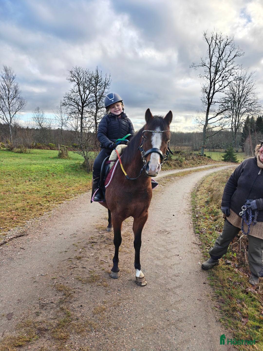 Allround hästar till salu: Fin ponny att fortsätta forma - Annons 1