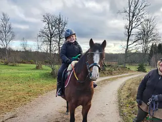 hästar Fin ponny att fortsätta forma *tingad* - Annons 5