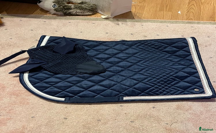 Schabrak & Vojlockar hästutrustning till salu i Vinninga - Annons 10