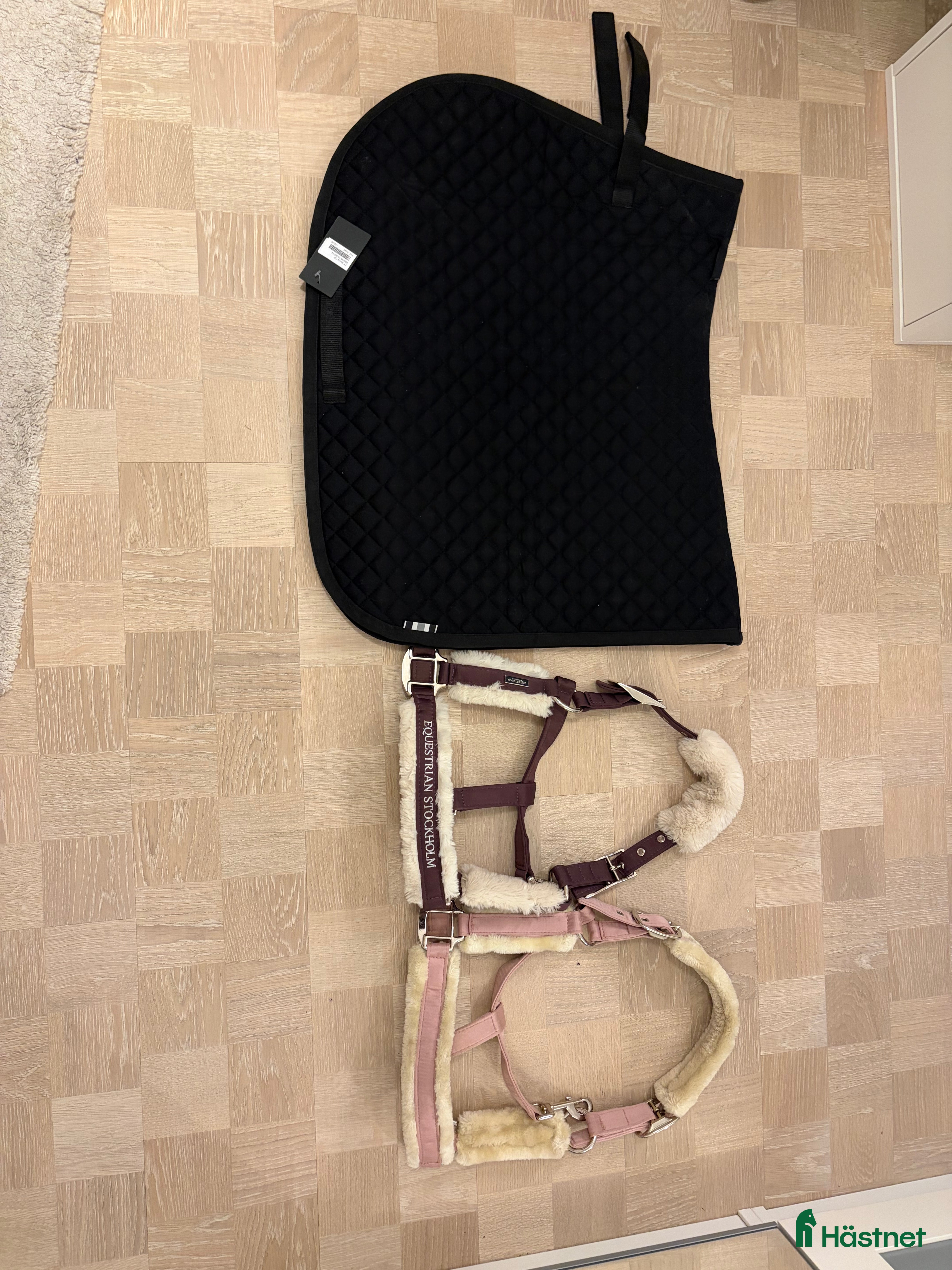 Övrig Hästutrustning hästutrustning till salu: Häst utrustning  i Stockholm - Annons 8