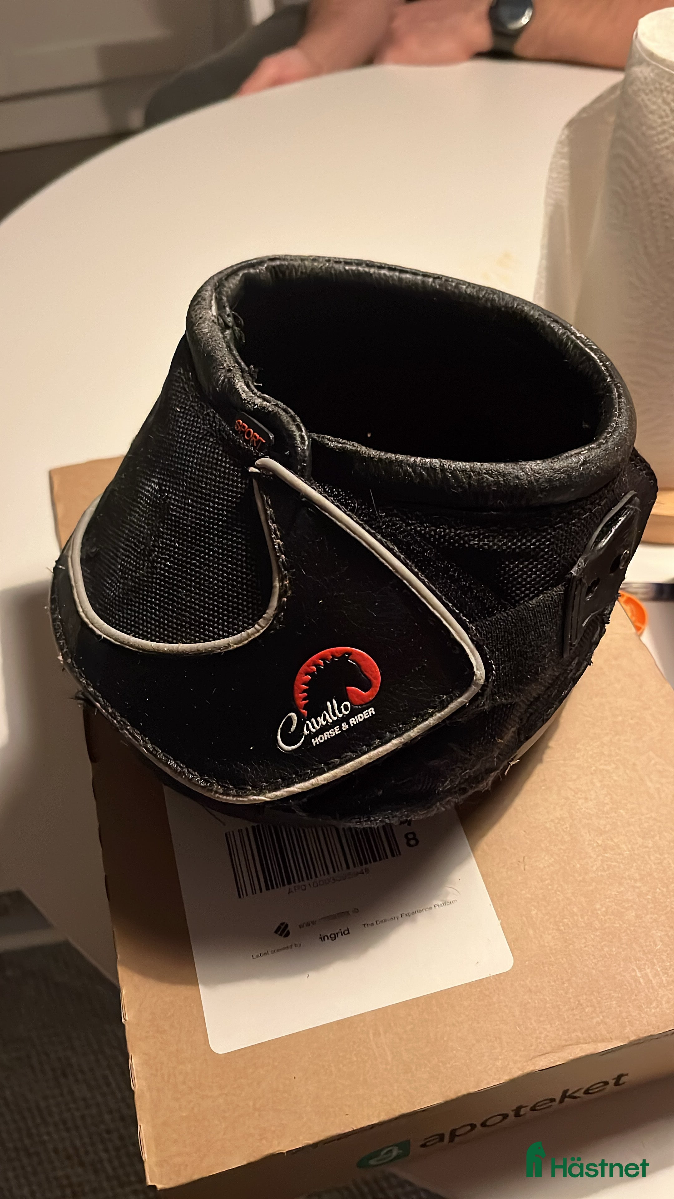 Övrig Hästutrustning hästutrustning till salu: Cavallo broddade boots i Sundsvall - Annons 17