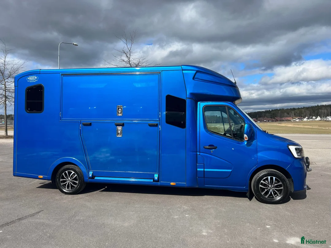 Hästlastbilar  fordon & transport till salu: PARAGAN EXCELSION 5XL STUTERI LÅG SKATT  - Annons 2