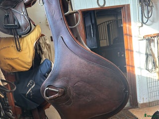 Sadeltillbehör hästutrustning till salu: Antares magplatta storlek 125 anatomisk i Sjöbo - Annons 4