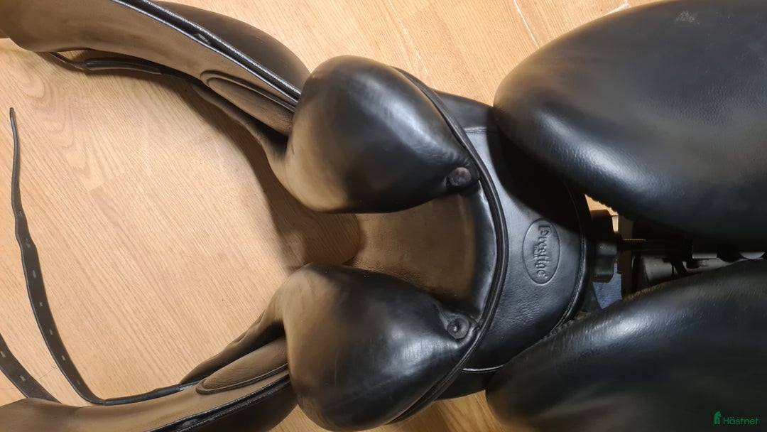 Sadlar hästutrustning till salu: Prestige D1 i Hamneda - Annons 6