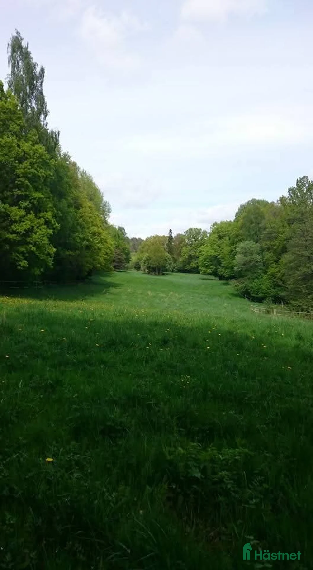  stallplats finnes: Sommarbete o ev lösdrifts plats Norrköping  i Åby - Annons 1