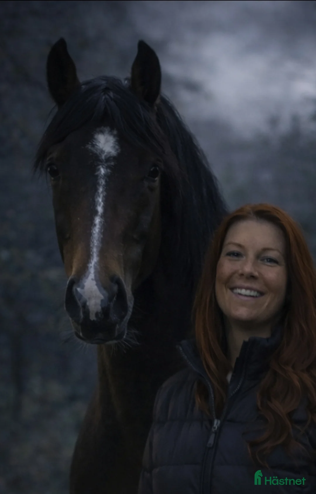 Galleribild {{count}}