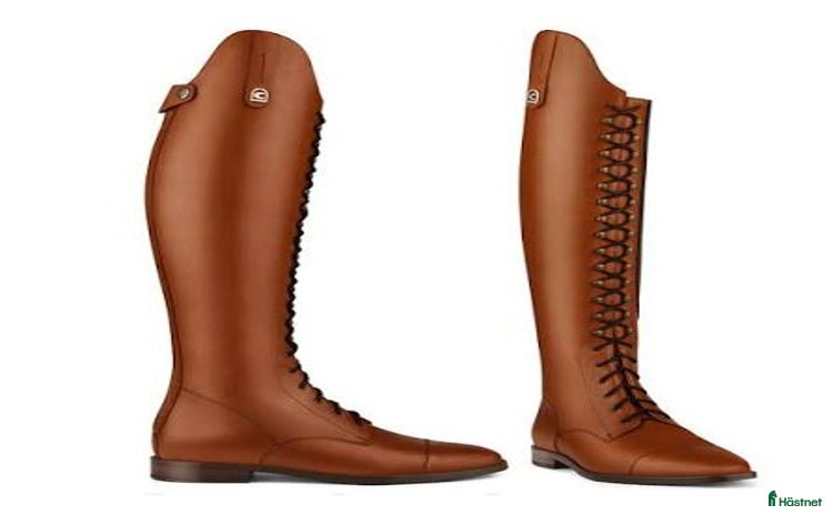 Ridstövlar ryttarutrustning till salu: SØKER SLIKE DRESSURSTØVLER I COGNAC i Sande i Vestfold - Annons 6