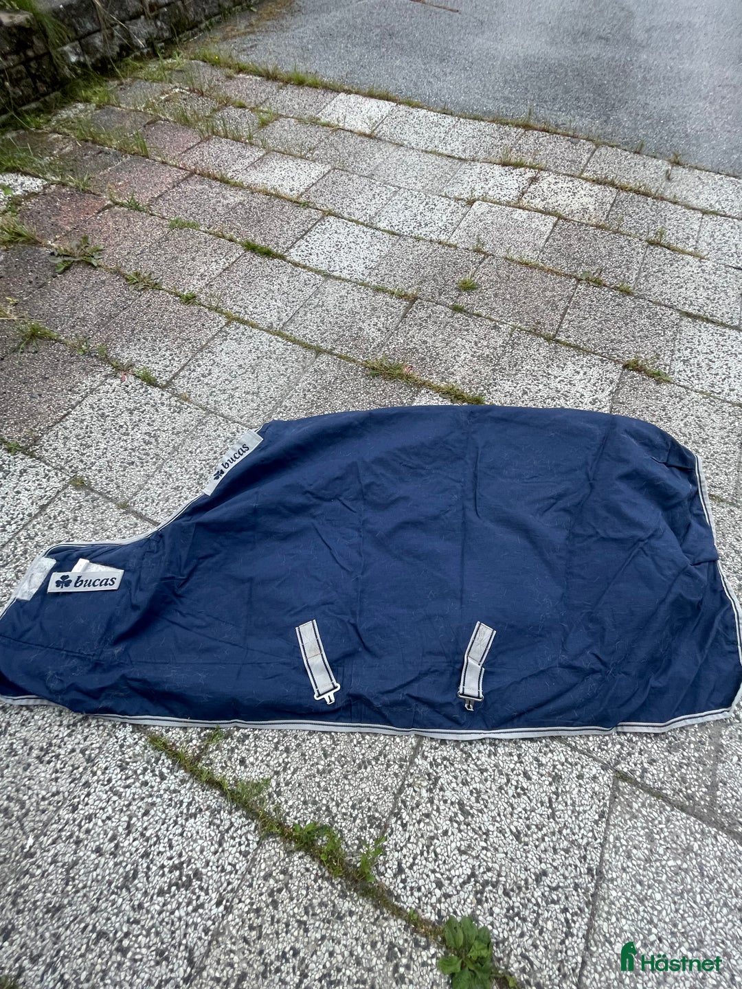 Täcken hästutrustning till salu: Innertäcke  i Luleå - Annons 2