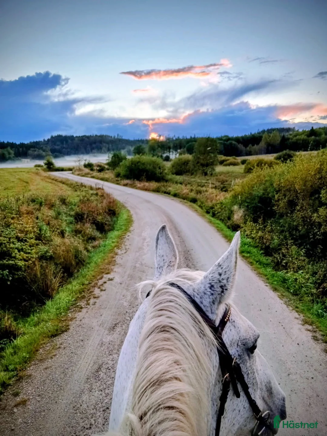  stallplats finnes: Stallplats LillaEdet - Annons 1