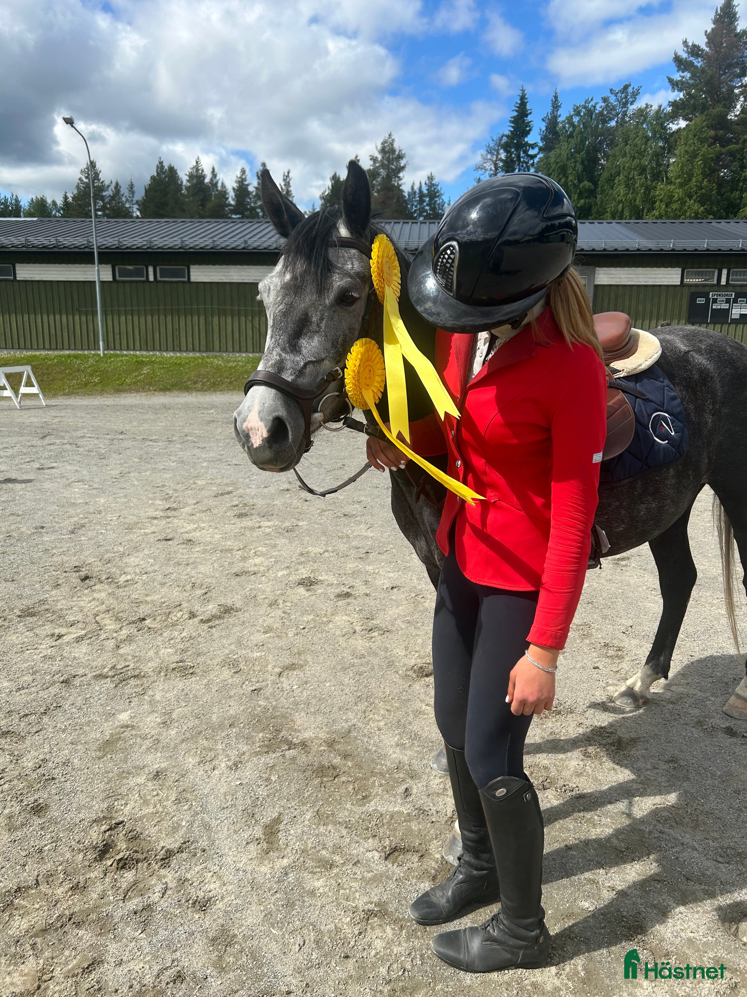  hästar Framtida stjärna - Annons 9