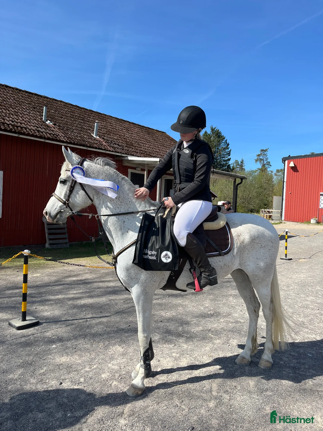 Allround hästar till salu: Snäll och lovande D-ponny🌟 i Norrhult - Annons 2