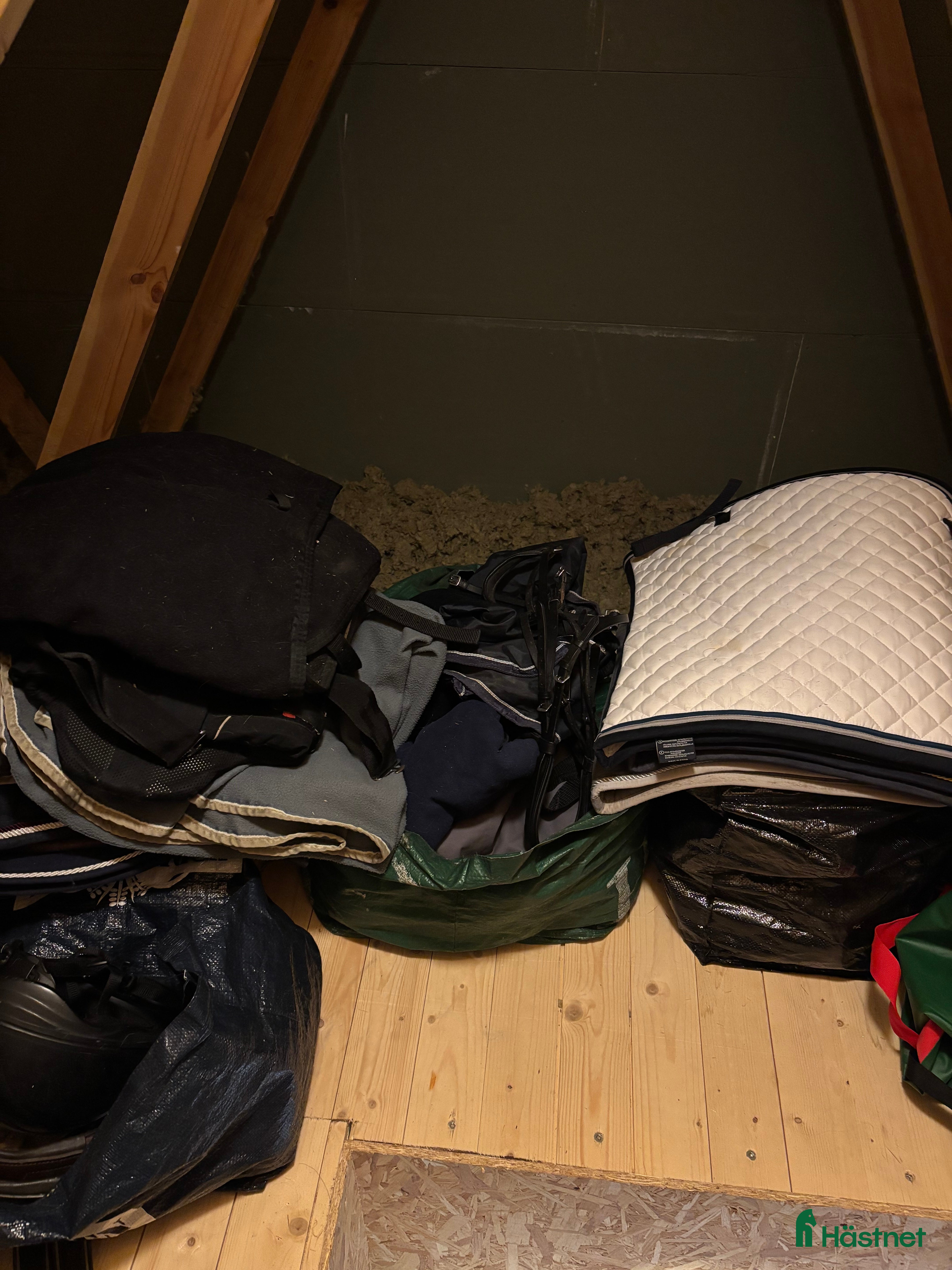 Övrig Hästutrustning hästutrustning Allt eller inget  - Annons 9