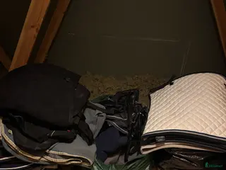 Övrig Hästutrustning hästutrustning Allt eller inget - Annons 9