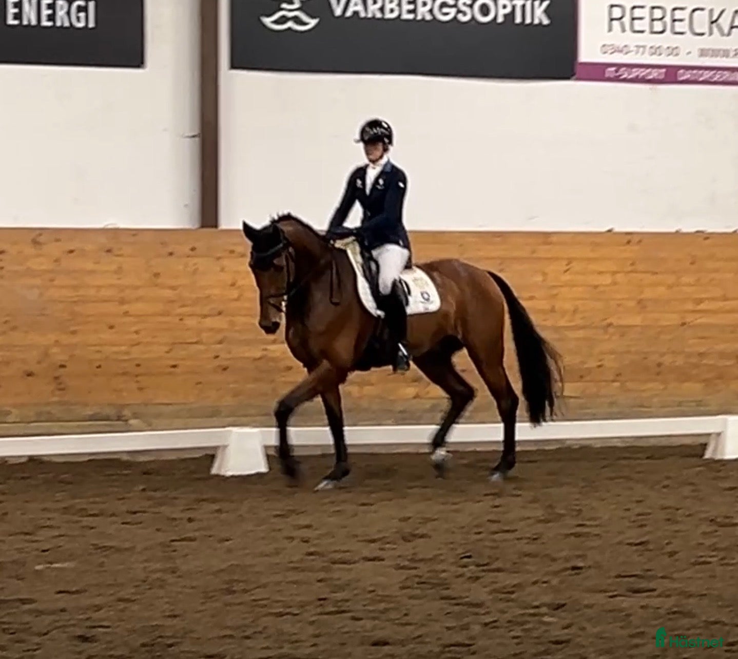  hästar Dressyrhäst med det lilla extra i Morup - Annons 3