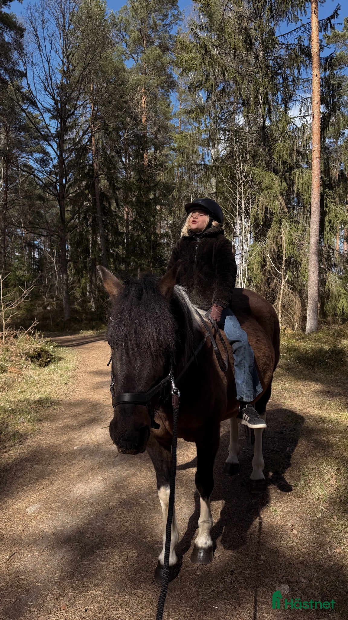  hästar En riktigt gullgumma med integritet  - Annons 2
