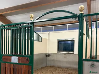 hästjobb Vi söker förstärkning till vårt team - Annons 1