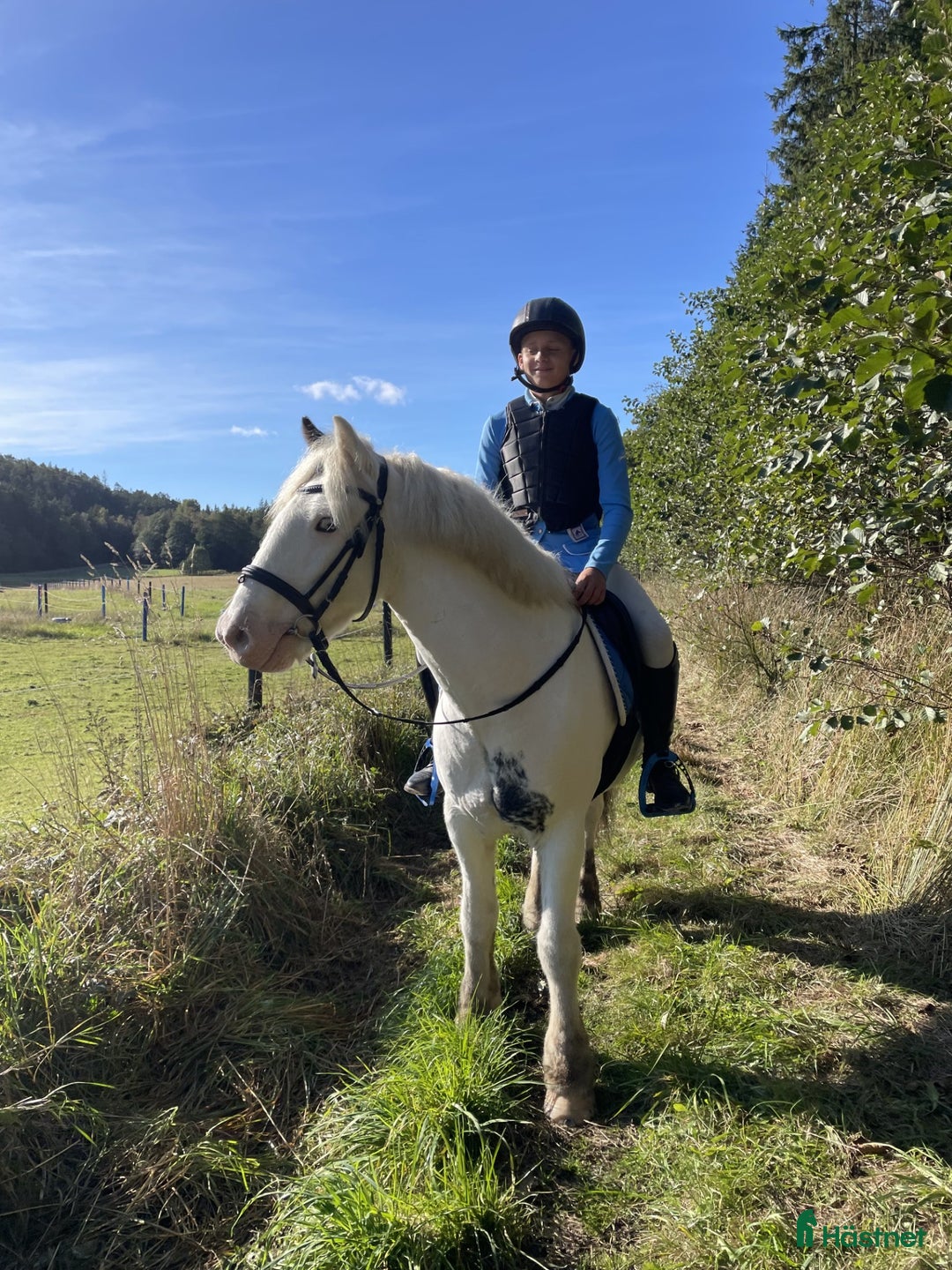 Allround hästar till salu: Ljuvlig maxad b-ponny! i Kärna - Annons 1