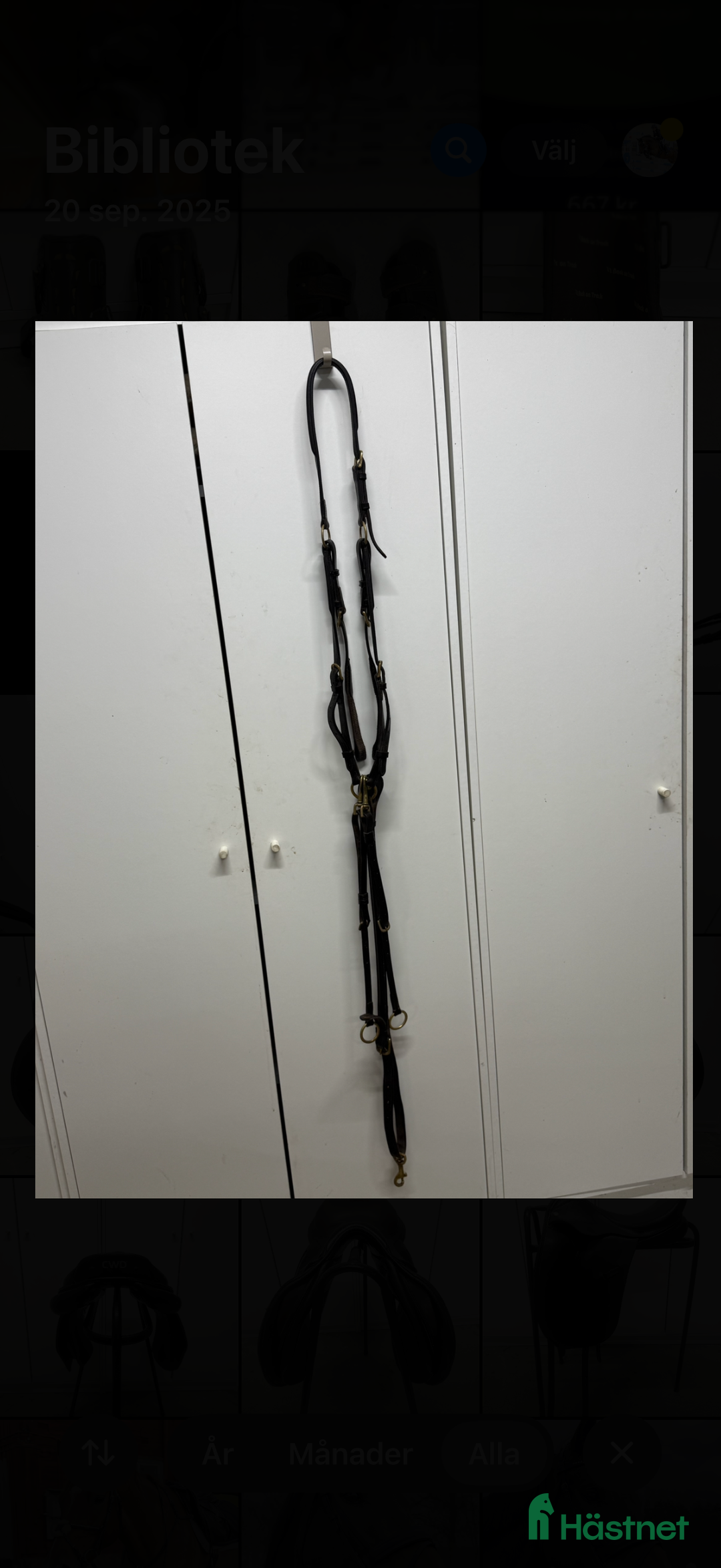 Övrig Hästutrustning hästutrustning till salu: Förbygel med avtagbar martingal i Edsbruk - Annons 2