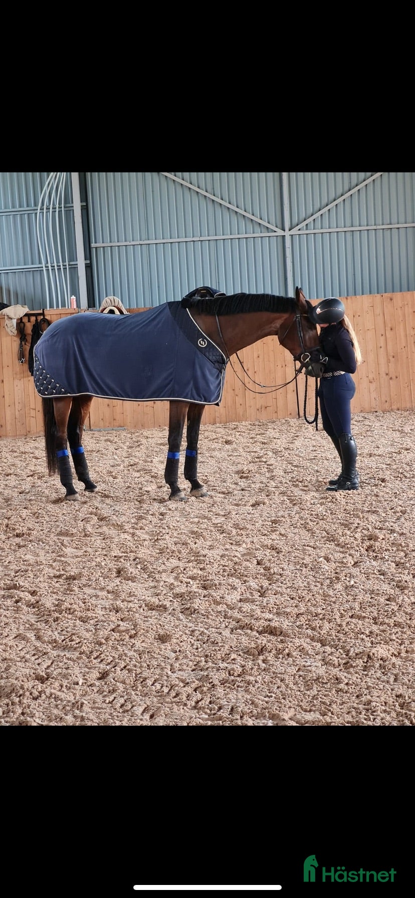  foderhäst Satsande ryttare söker samarbete - Annons 2