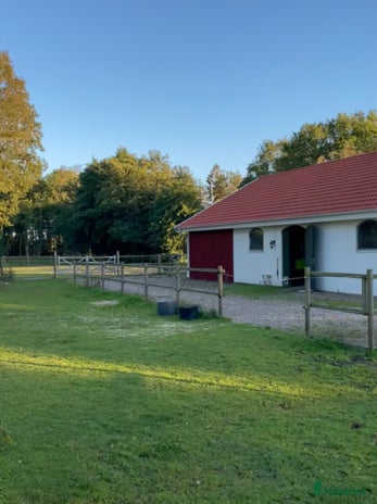 stallplats i Skäret - Annons 12