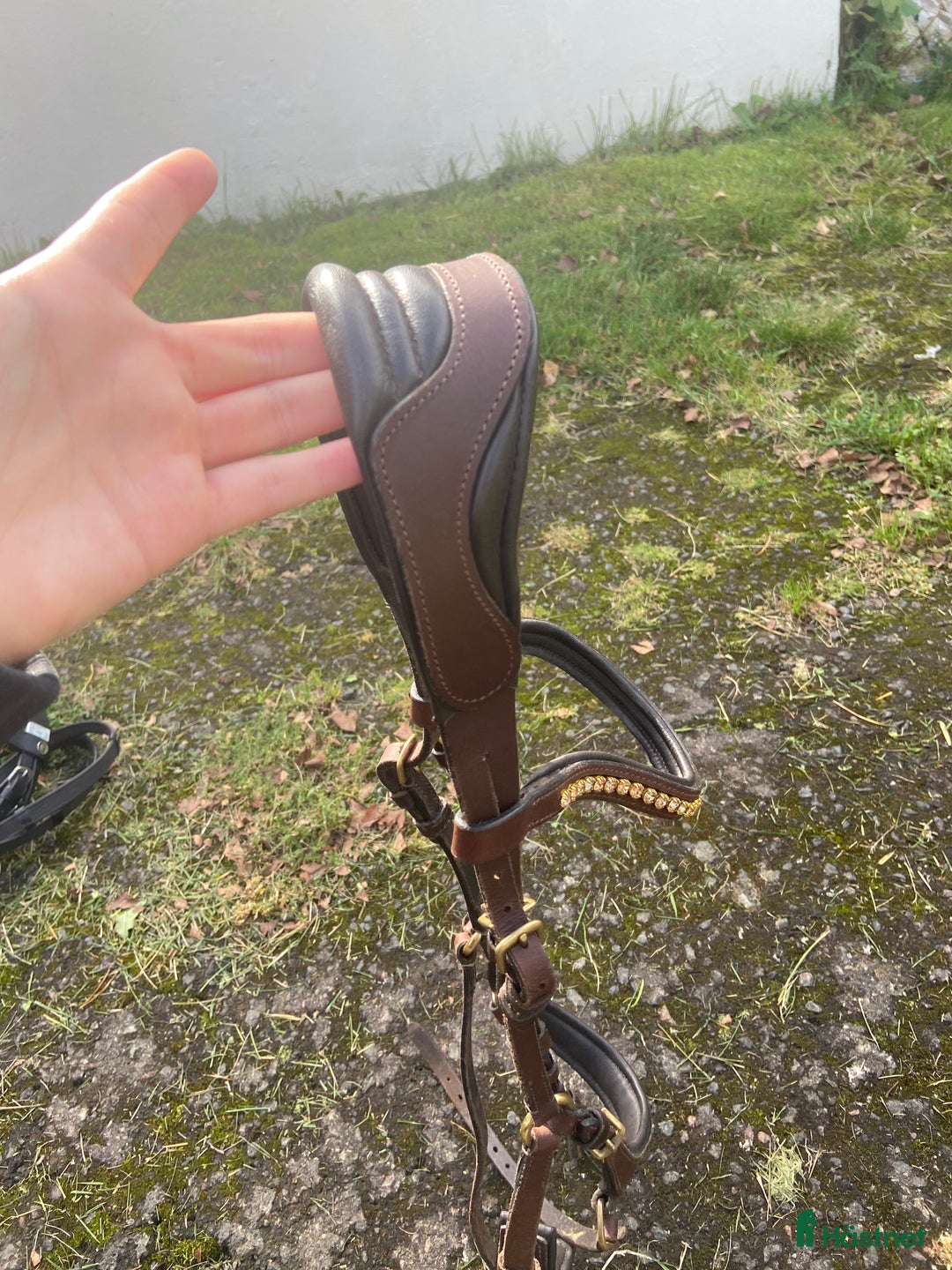 Träns hästutrustning till salu: Fint brunt träns i Skövde - Annons 2