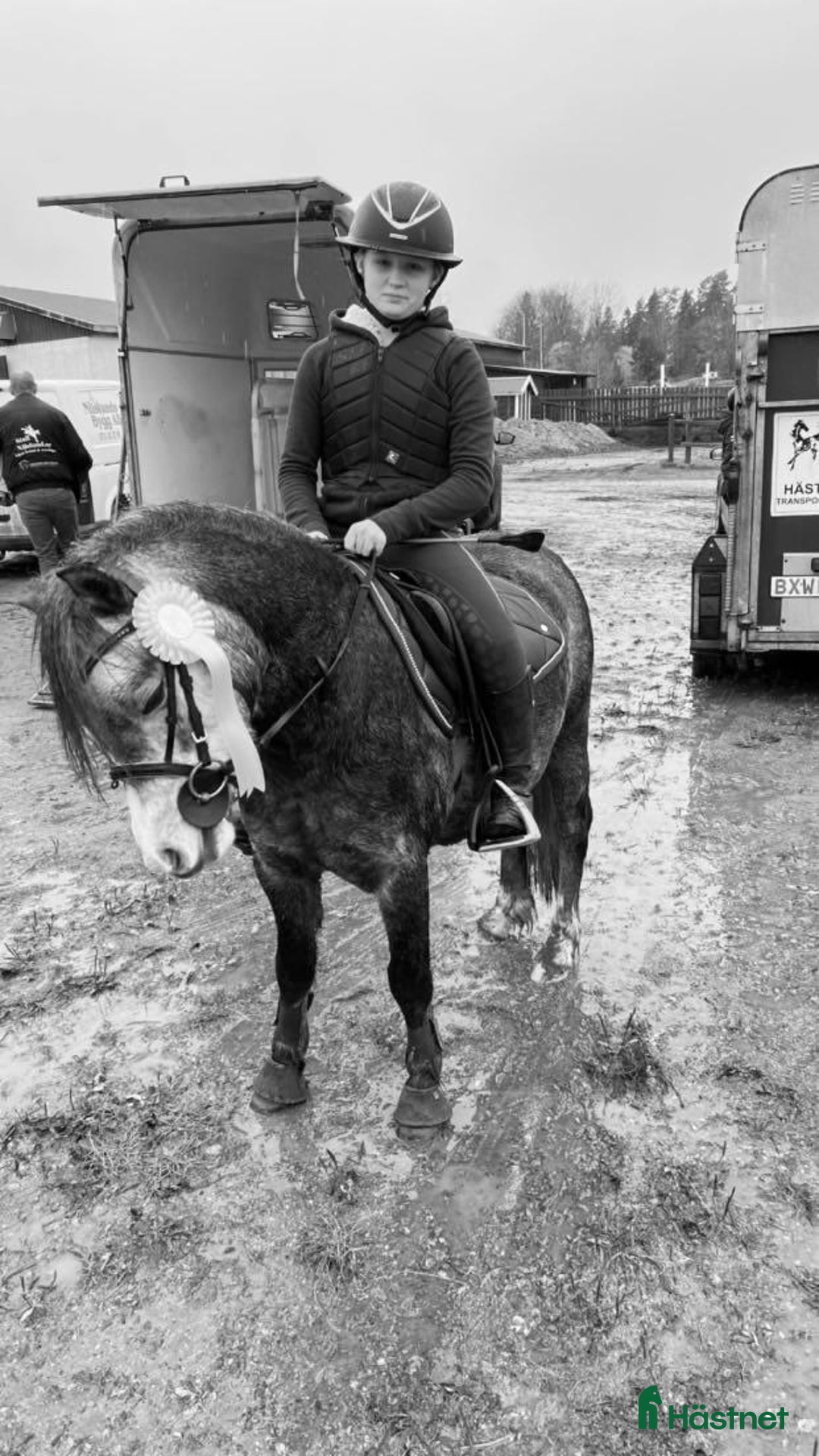 Allround hästar till salu: Trevlig Welsponny  i Vingåker - Annons 5