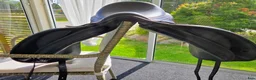 Sadlar hästutrustning till salu: Arena Wide Dressage 18” i Växjö - Annons 2