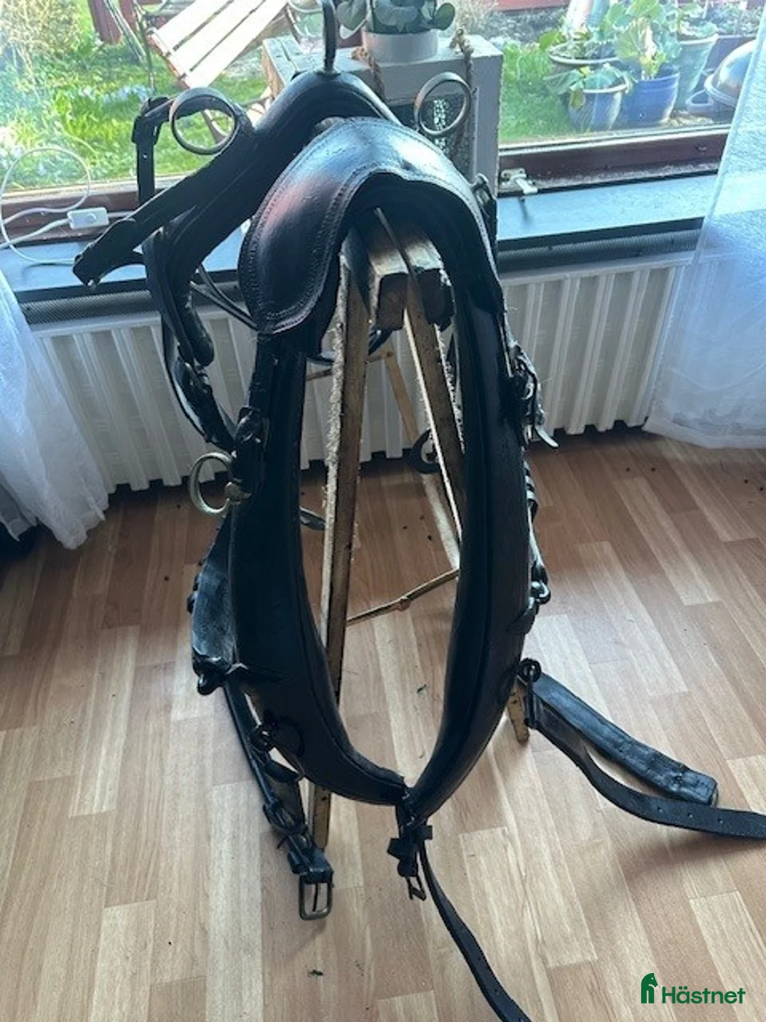 Körselar körning till salu: Loksele m Tömmar, Frakt till COB, stor häst - Annons 3