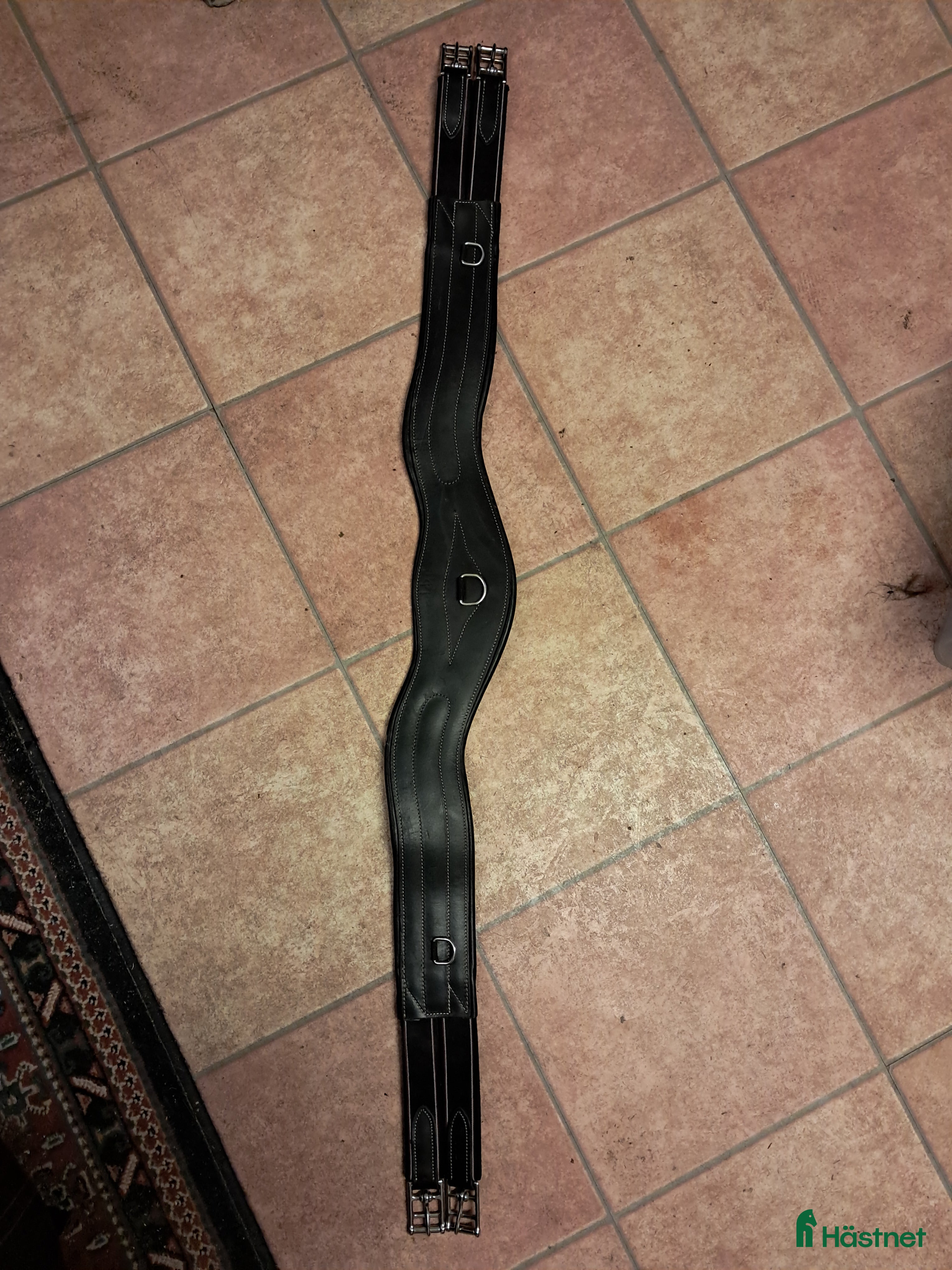 Sadeltillbehör hästutrustning till salu: Lippo Sadelgjord i Vara - Annons 4