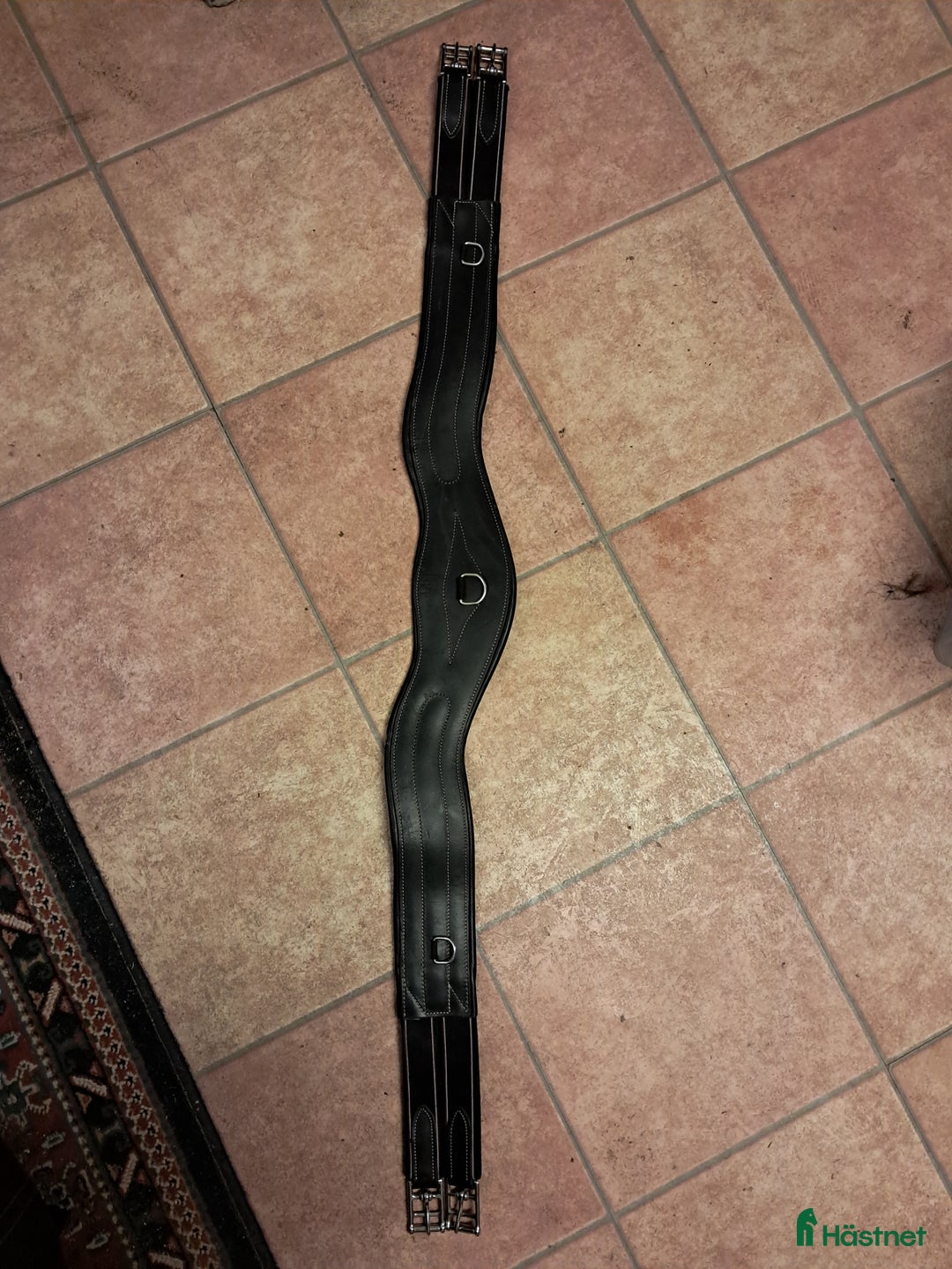 Sadeltillbehör hästutrustning till salu: Lippo Sadelgjord i Vara - Annons 1