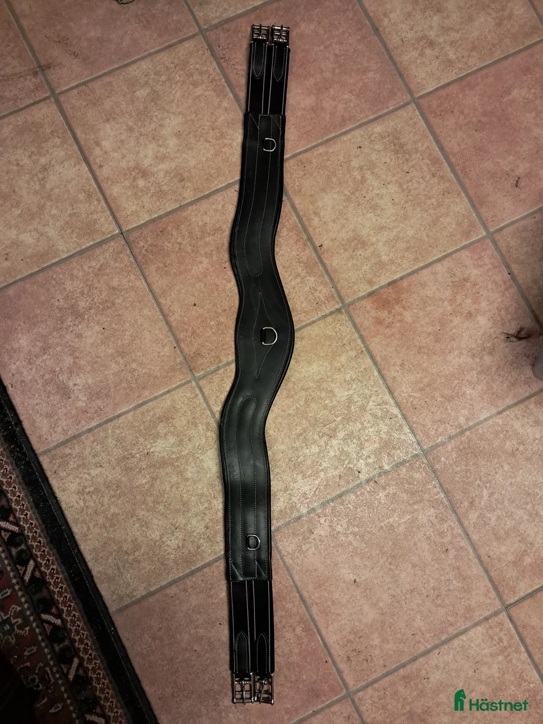 Sadeltillbehör hästutrustning till salu: Lippo Sadelgjord i Vara - Annons 1