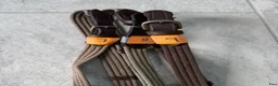 Övrig Hästutrustning hästutrustning till salu: Tyglar i använt skick i Hunnebostrand - Annons 3