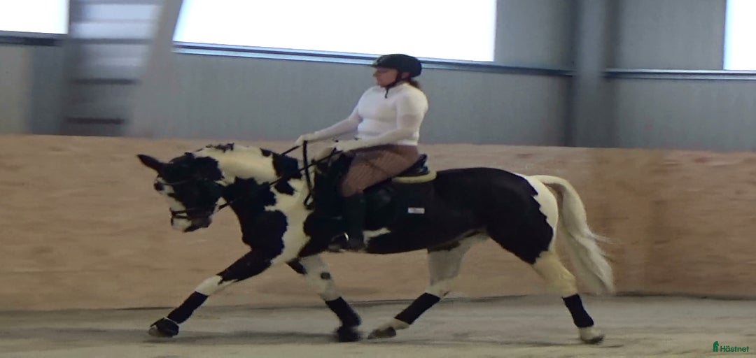 Galleribild {{count}}